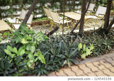 Coffee shop interior vintage style in Thailand 124545339