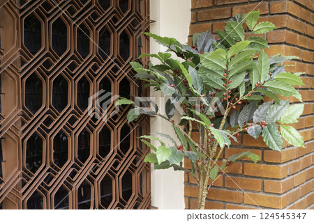 Coffee shop interior vintage style in Thailand Coffee shop interior vintage style in Thailand 124545347