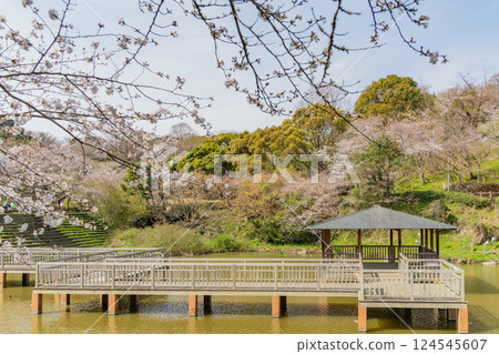 [靜岡縣] 清水船越堤公園與男池：櫻花季 124545607