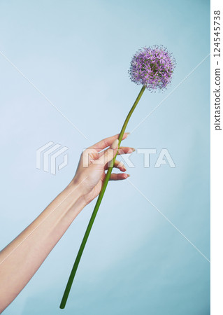 Hand holding tall purple flower against light blue background Hand holding tall purple flower against light blue background 124545738