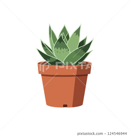 Green succulent plant in a terracotta pot with a minimal flat design style vector illustration 124546944