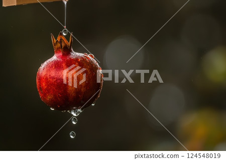 Whole Pomegranate Hovers Above Open Box with Droplets of Water Dripping Down Whole Pomegranate Hovers Above Open Box with Droplets of Water Dripping Down 124548019