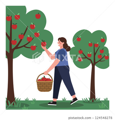 Woman picking red apples from trees in a lush orchard, flat vector illustration 124548278