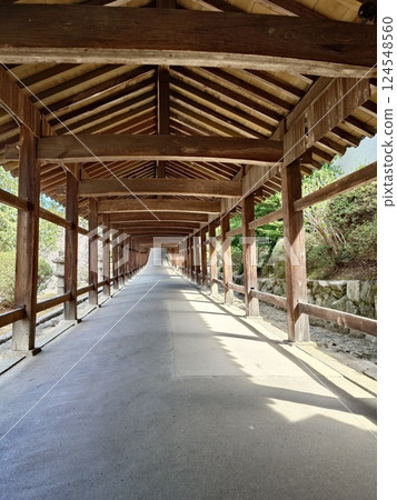 Corridor 124548560