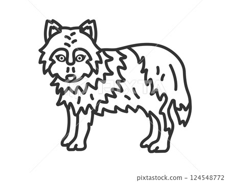 狼（線描）圖 124548772
