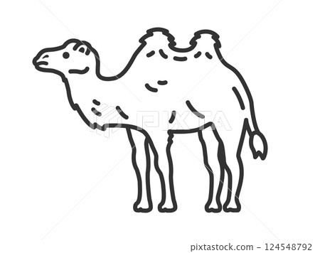 Illustration of a Bactrian camel (line drawing) 124548792