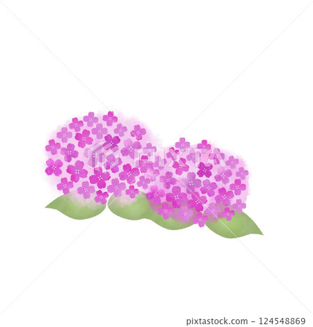 水彩風格的繡球花插圖 124548869