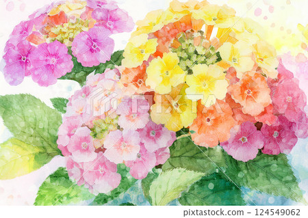 馬纓丹 *春天的花朵背景材料 124549062