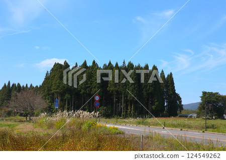 磐梯山、會津山磐梯、豬苗代、豐田路、稻田、豬苗代鹽川線、磐梯鎮、星野集團貓魔 124549262