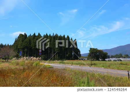 Mt. Bandai, Aizu-Mt. Bandai, Inawashiro, Toyota Road, rice fields, Inawashiro-Shiokawa Line, Bandai Town, Hoshino Resorts Nekoma 124549264