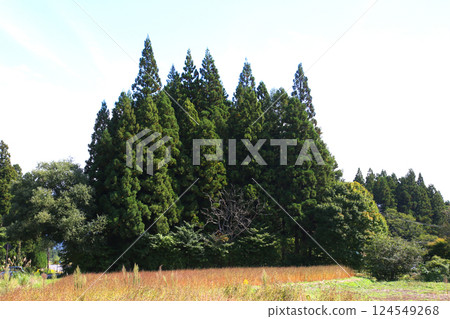 磐梯山、會津山磐梯、豬苗代、豐田路、稻田、豬苗代鹽川線、磐梯鎮、星野集團貓魔 124549268