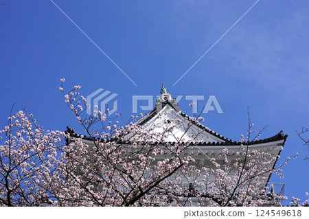 Castle Cherry Blossoms Castle Cherry Blossoms 124549618