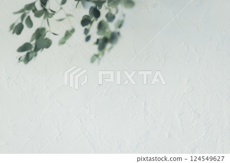 White wall and green 124549627