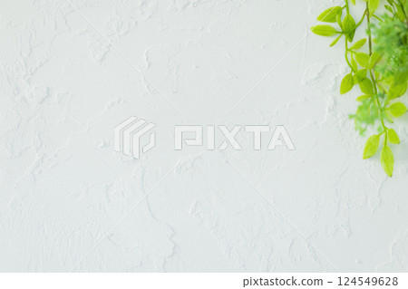 白牆和綠色 124549628