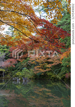 秋葉滿布的兼六園-秋季金澤之旅必去之地 秋葉滿布的兼六園-秋季金澤之旅必去之地 124549802