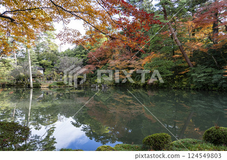 秋葉滿布的兼六園-秋季金澤之旅必去之地 秋葉滿布的兼六園-秋季金澤之旅必去之地 124549803