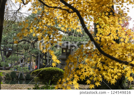 Kenrokuen Garden in full autumn foliage - a must-visit on your autumn trip to Kanazawa Kenrokuen Garden in full autumn foliage - a must-visit on your autumn trip to Kanazawa 124549816