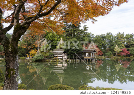 秋葉滿布的兼六園－秋季金澤之旅必去之地 124549826