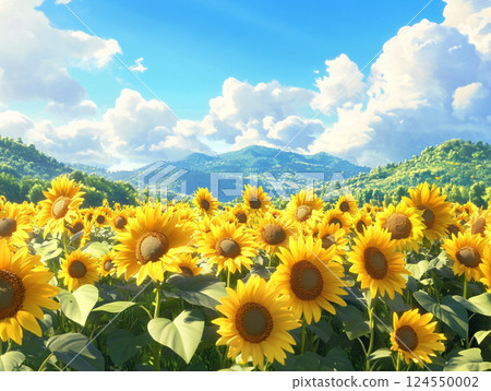 Sunflower Field #01 124550002