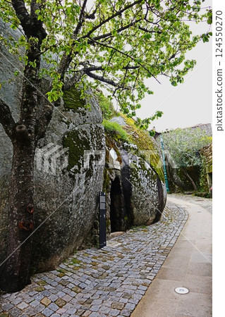 葡萄牙的孟山都巷 124550270