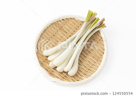 Shallots on a tray with a white background 124550554