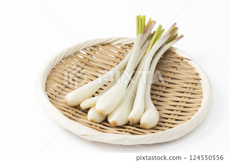 Shallots on a tray with a white background 124550556