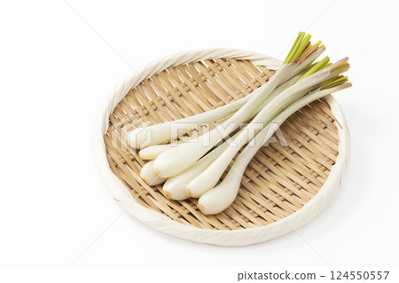 Shallots on a tray with a white background 124550557