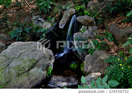 善福寺公園 - 茅井泉水風景 124550752
