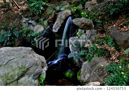 善福寺公園 - 茅井泉水風景 善福寺公園 - 茅井泉水風景 124550753