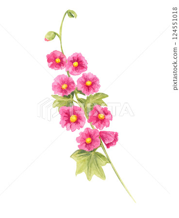 Bright pink hollyhock stem watercolor clipart with lush green foliage. A wonderful addition to botanical compositions, wedding stationery, floral fabric prints, and seasonal artwork 124551018