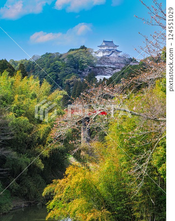 Otaki Castle in spring and the red iron bridge of the Isumi Railway 124551029