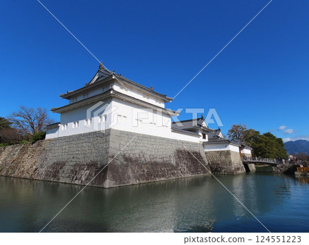 晴天的駿府城 晴天的駿府城 124551223