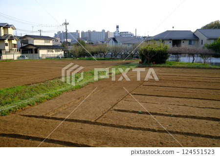 Farmland in a residential area 124551523