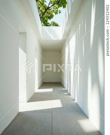 Sunlight patterns in minimalist architectural hallway with leafy green accent 124552402