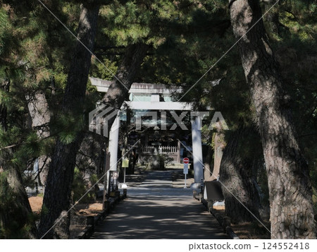 三保松原的神之道 124552418