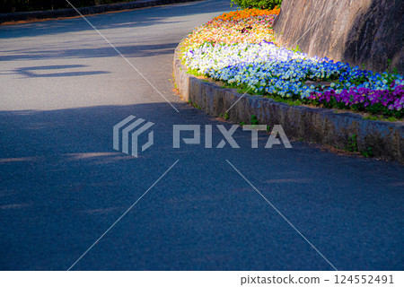 花壇和彎曲的人行道 花壇和彎曲的人行道 124552491