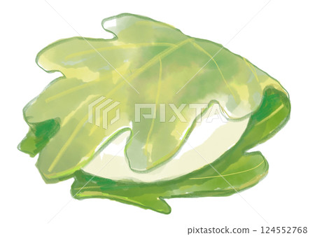 A hand-drawn watercolor illustration of Kashiwamochi, a sweet and delicious Japanese confectionery for Children's Day 124552768