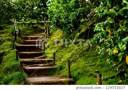 青苔斜坡上的一條小路，有木台階和竹扶手 124553027