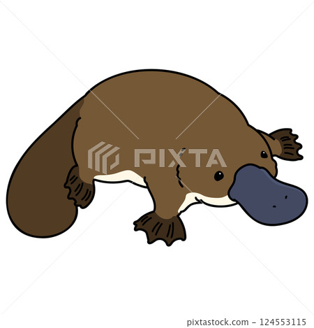 Simple and cute platypus illustration with main lines 124553115