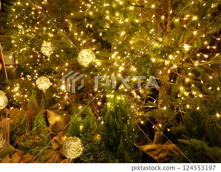 奇妙 - 奇幻 奇妙 - 奇幻 124553197