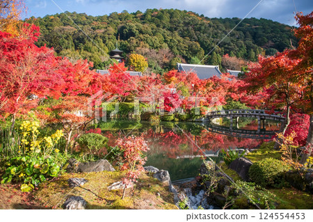 Beautiful autumn garden view of Eikando temple 124554453