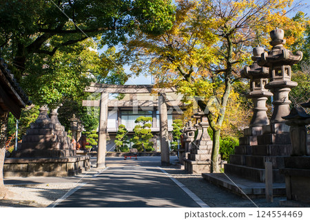 Torii gate and lantern statue of Sumiyoshi Taisha Shrine, Osaka 124554469
