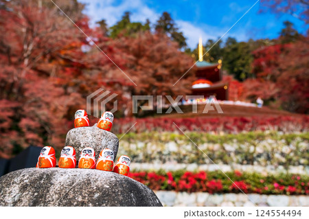 Closeup daruma dolls by autumn foliage garden, Katsuoji temple 124554494