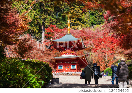people walk to Katsuoji temple pagoda by autumn foliage garden people walk to Katsuoji temple pagoda by autumn foliage garden 124554495