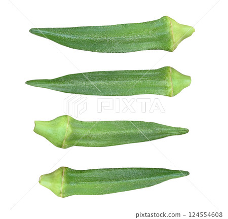 Green Okras isolated on the white background. Okra clipping path . 124554608