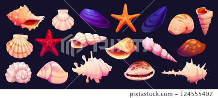 Cartoon seashells, mussels and starfish of vector ocean beach shellfish and underwater coral reef mollusk animals. Marine sea shells, conches, scallops and mussels, starfish, clams, horn snail, cowrie 124555407