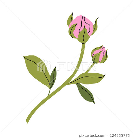 Delicate pink rosebud. Minimalist still life of single pink small rose with green leaves. Fashion minimalist flower. Elegant botanical design. For garden and flower shop. Vector flat illustration. 124555775