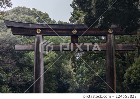 Weathered torii gate stands at the entrance of Meiji Shrine in Tokyo, framed by dense forest 124555822