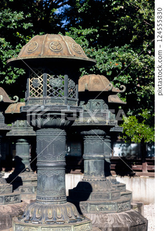 Decorative bronze lanterns with metal roofs and traditional symbols adorn the grounds 124555830
