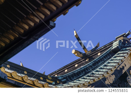 The intricate roof design of Ueno Toshogu Shrine in Tokyo, Japan 124555831